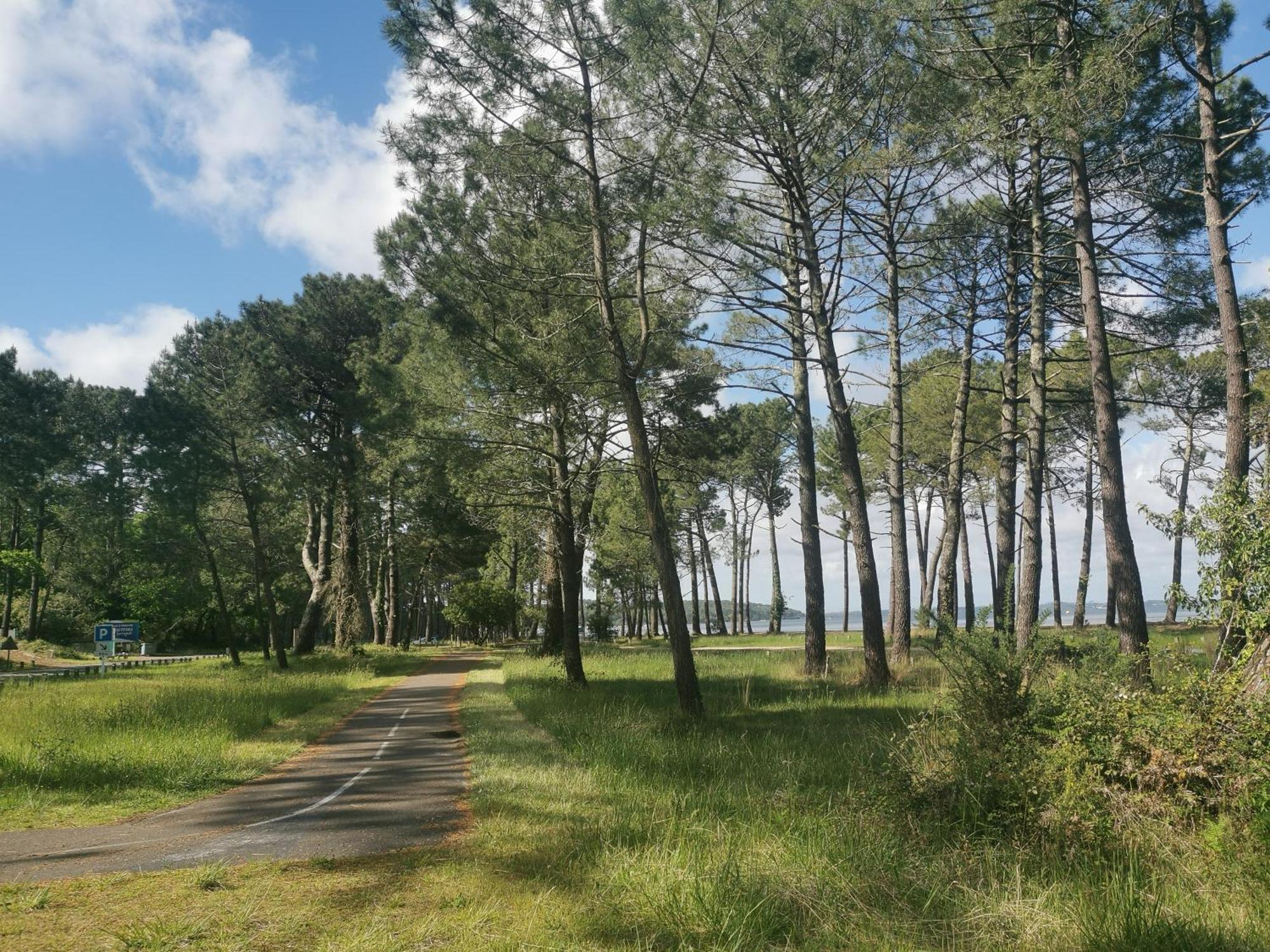 Appartements Au Coeur Du Golf, Proche Du Lac Et Velodyssee بيسكاروس المظهر الخارجي الصورة