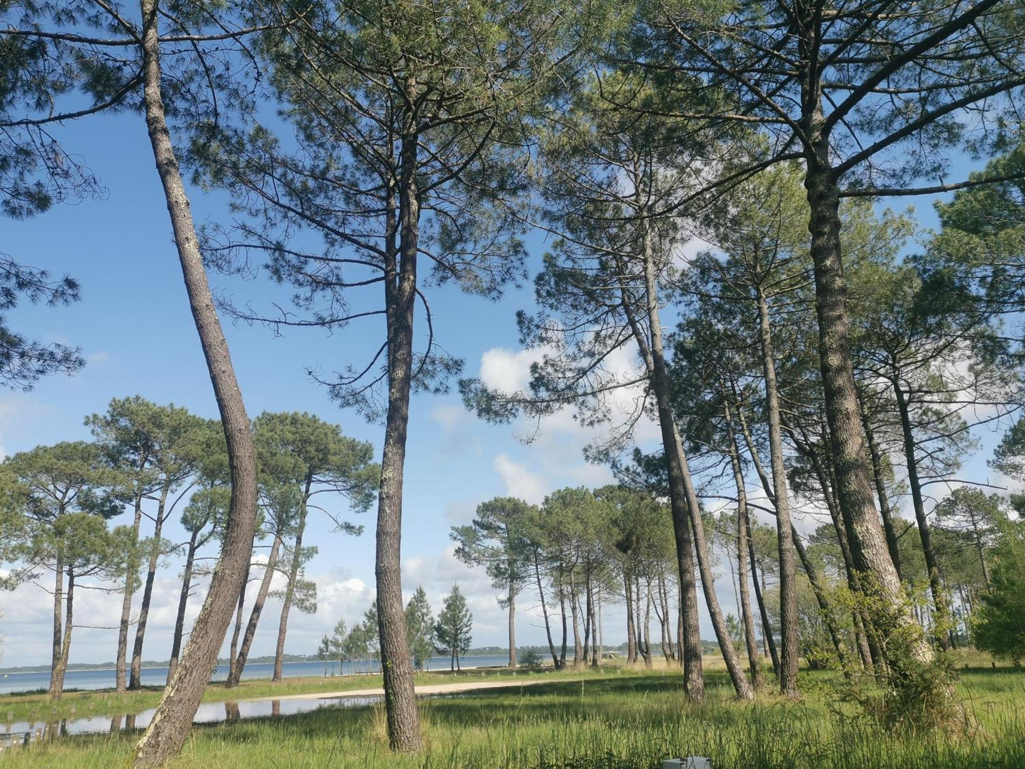 Appartements Au Coeur Du Golf, Proche Du Lac Et Velodyssee بيسكاروس المظهر الخارجي الصورة